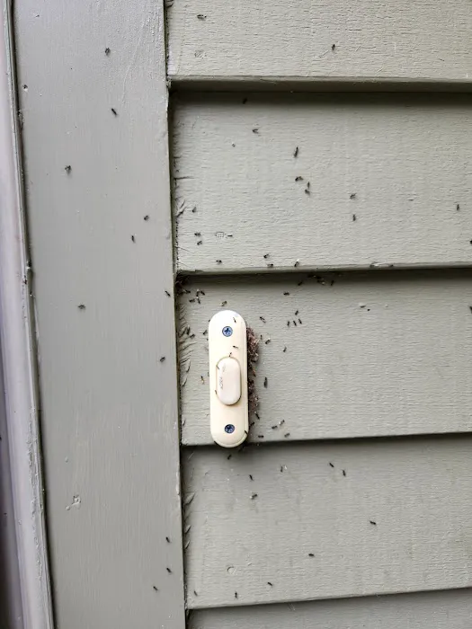 Insight Pest Solutions - New Hampshire Picture 3