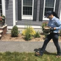 Insight Pest Solutions - New Hampshire ico