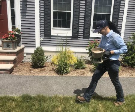 Insight Pest Solutions - New Hampshire
