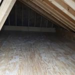 Insight Pest Solutions
