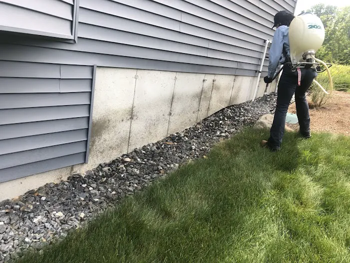 Insight Pest Solutions Picture 3