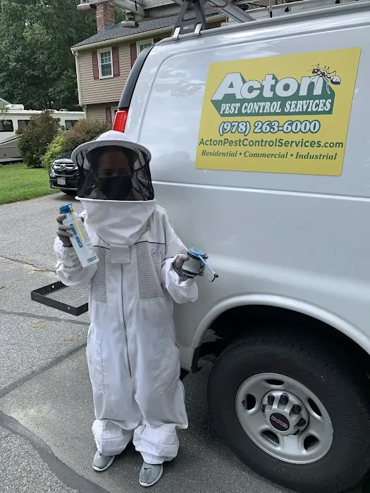 Acton Pest Control Services Picture 1