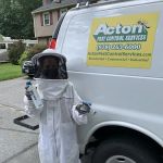Acton Pest Control Services