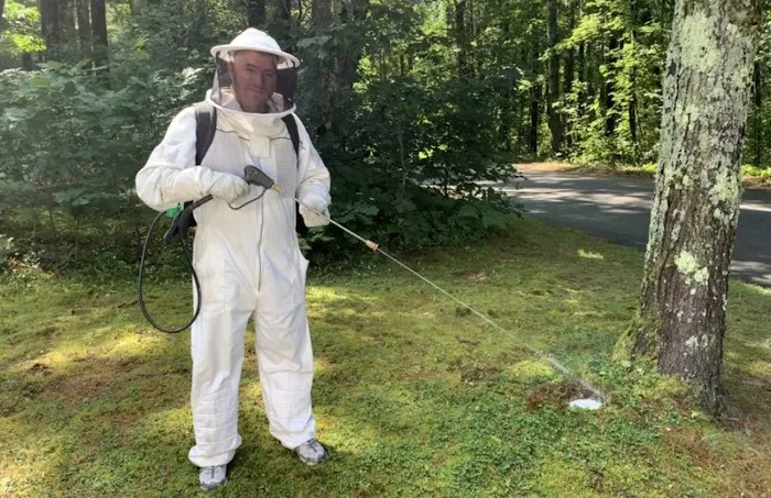 Acton Pest Control Services Picture 9