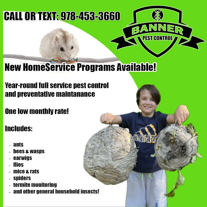 Banner Pest Control Picture 4