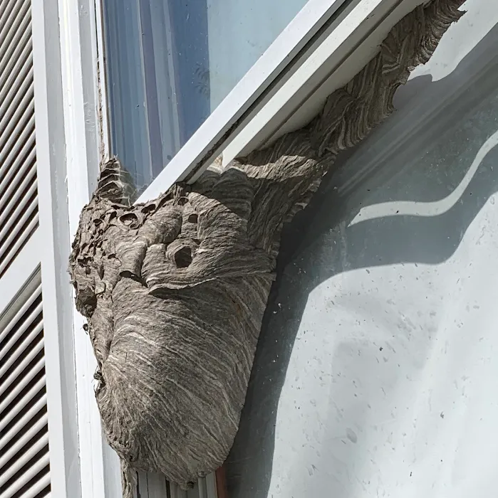 Banner Pest Control Picture 7