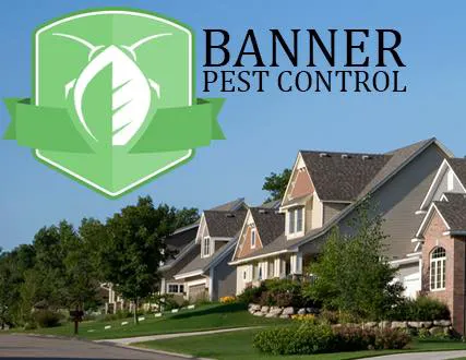 Banner Pest Control Picture 5