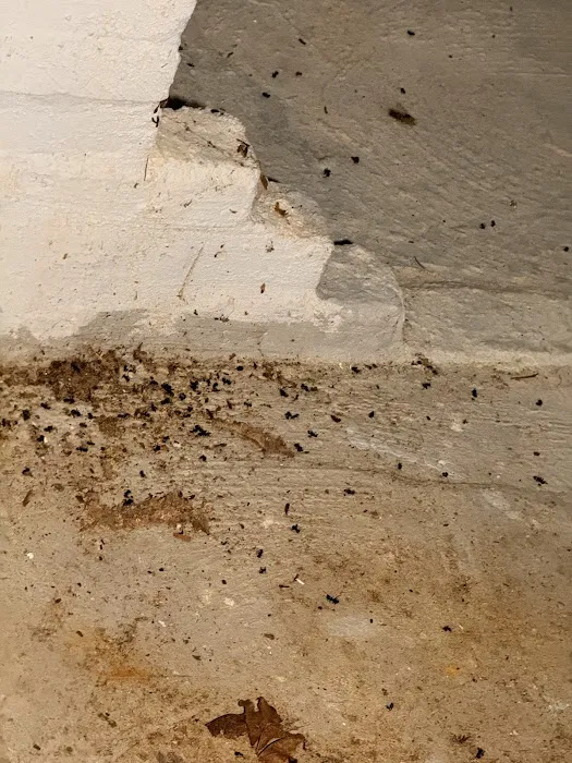 Banner Pest Control Picture 10