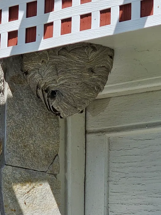 Discount Pest Control Picture 4