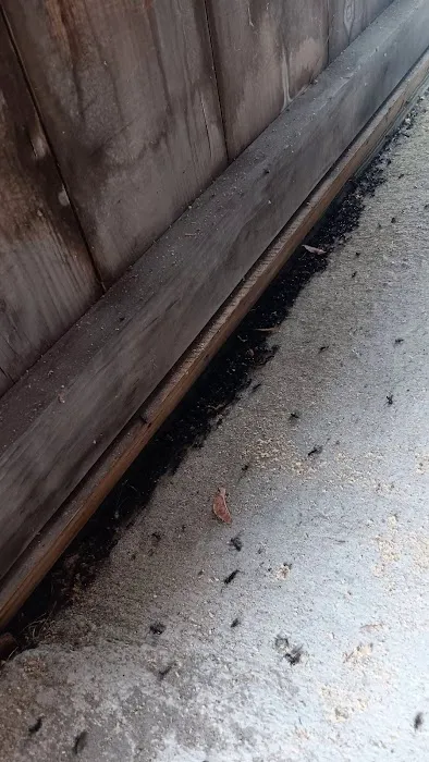Discount Pest Control Picture 5