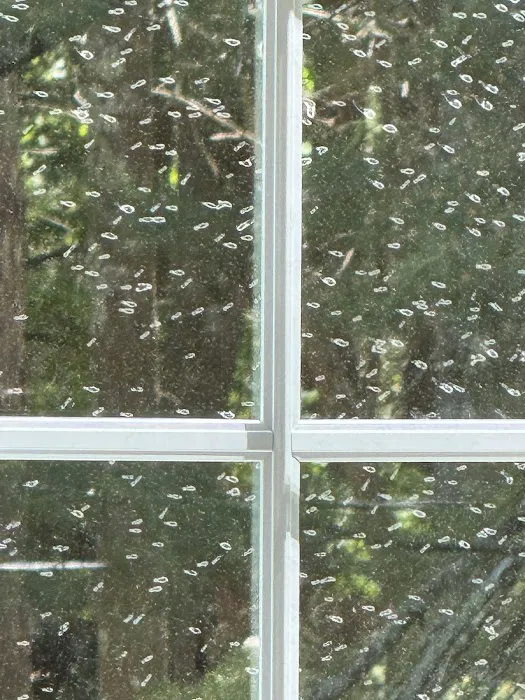 Urbanex Pest Control Picture 4