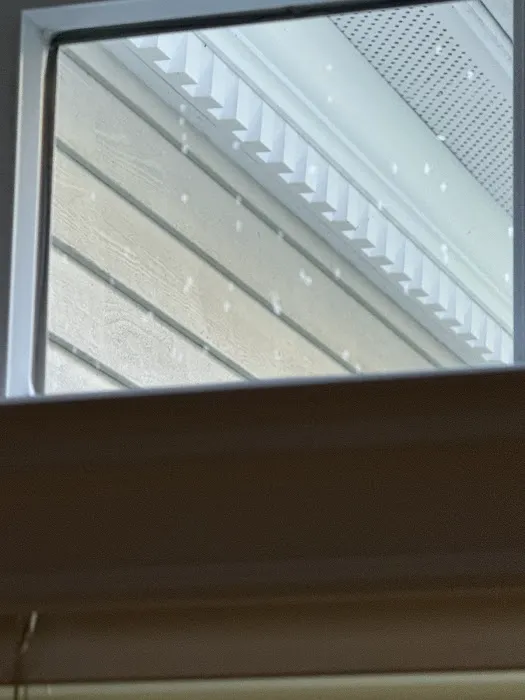 Urbanex Pest Control Picture 7