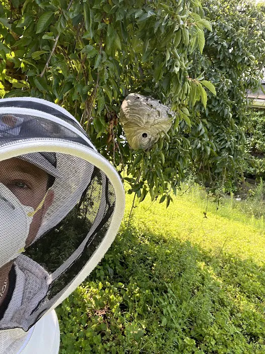 Battleline Pest Management Picture 2