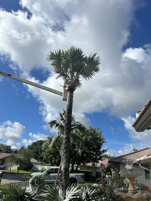 Tree Care by Stan Hunt & Hunt's Quality Pest Control Picture 4