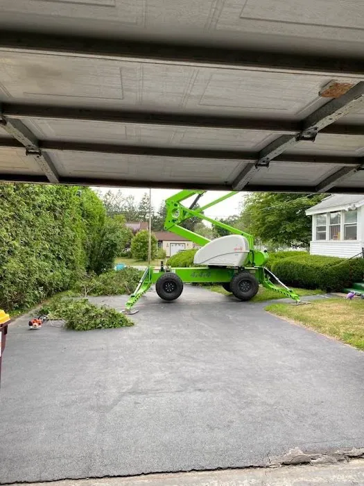 Tree Care by Stan Hunt & Hunt's Quality Pest Control Picture 9
