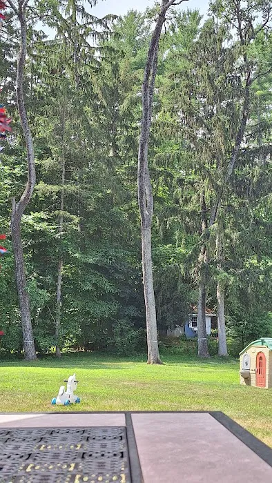 Tree Care by Stan Hunt & Hunt's Quality Pest Control Picture 1