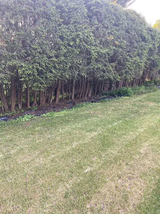 Tree Care by Stan Hunt & Hunt's Quality Pest Control Picture 10