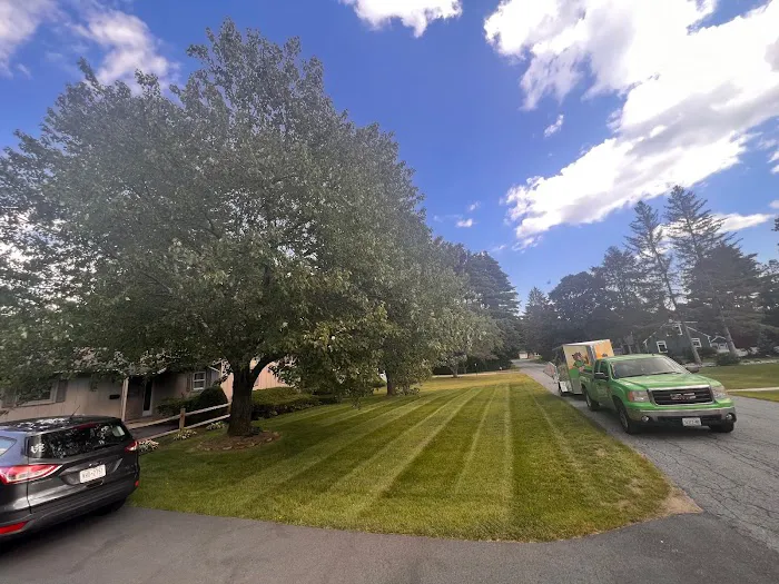 Groundhogs Lawn Care Picture 2