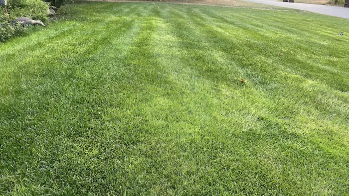 Groundhogs Lawn Care Picture 1