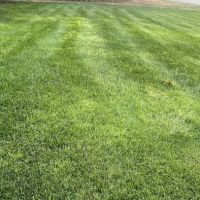 Groundhogs Lawn Care ico