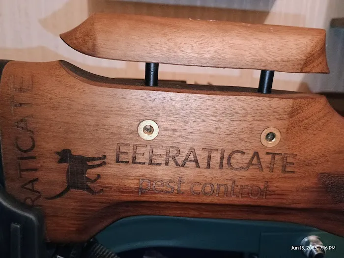 Eeeraticate Picture 8