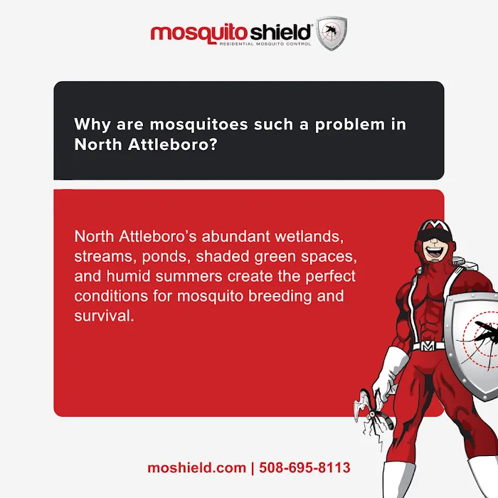 Mosquito Shield of North Attleboro Picture 6