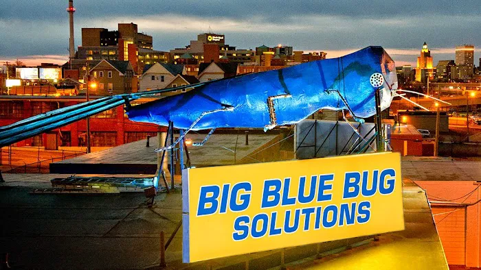 Big Blue Bug Solutions Picture 7