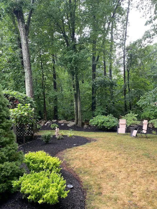 WPC Pest and Termite Control Picture 5