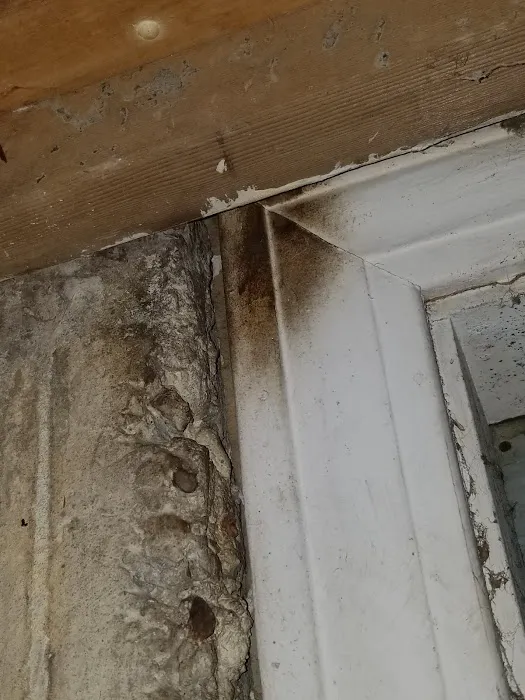 Assurance Pest Solutions Picture 6