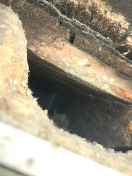 Assurance Pest Solutions Picture 9