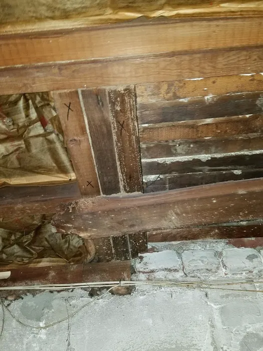 Assurance Pest Solutions Picture 5