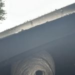 Assurance Pest Solutions