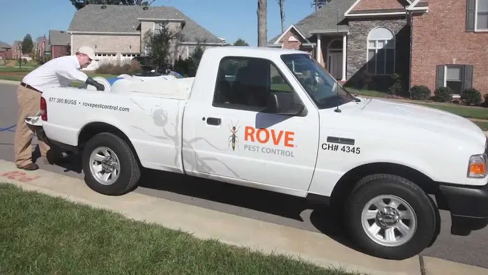 Rove Pest Control Picture 10