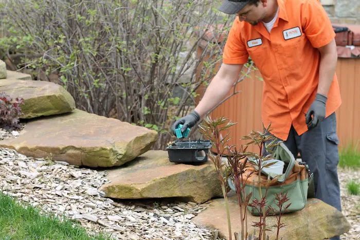 Rove Pest Control Picture 6