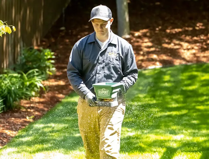 Rove Pest Control Picture 4