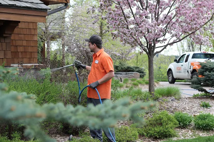 Rove Pest Control Picture 7