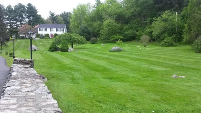 Simply Safer Premium Lawn Care Inc. Picture 5