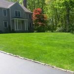 Simply Safer Premium Lawn Care Inc.