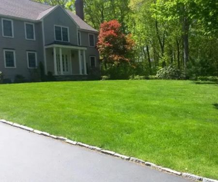 Simply Safer Premium Lawn Care Inc.