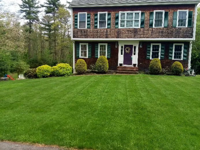 Simply Safer Premium Lawn Care Inc. Picture 2