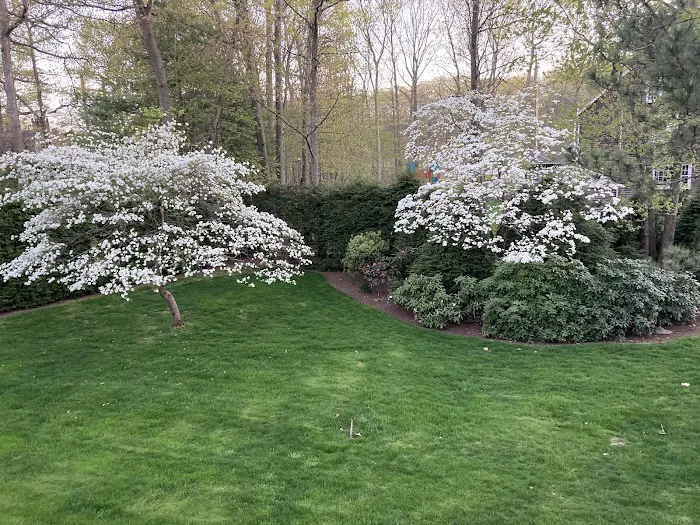 Simply Safer Premium Lawn Care Inc. Picture 10