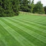 Rutland Turf Care & Pest Control
