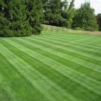 Rutland Turf Care & Pest Control ico