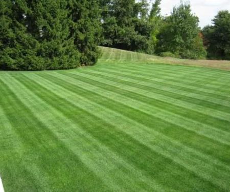 Rutland Turf Care & Pest Control