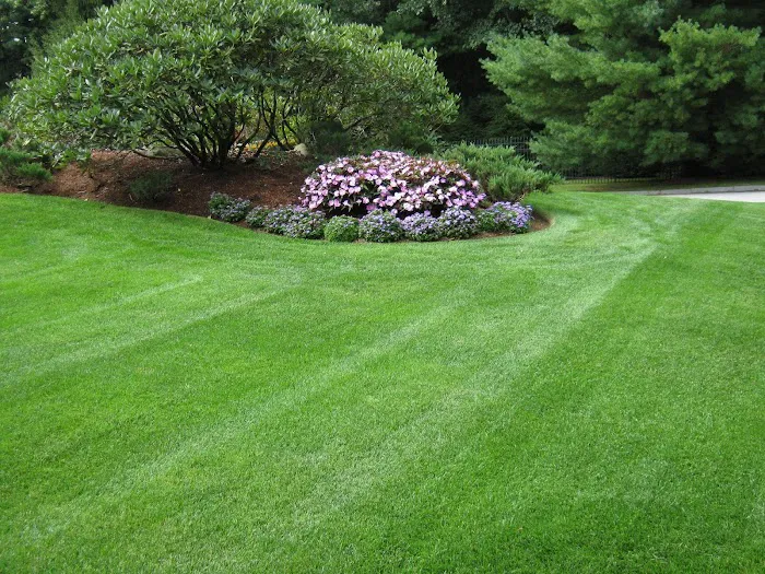 Rutland Turf Care & Pest Control Picture 6
