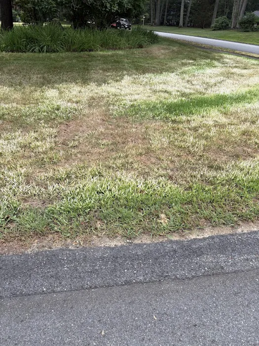 Rutland Turf Care & Pest Control Picture 2