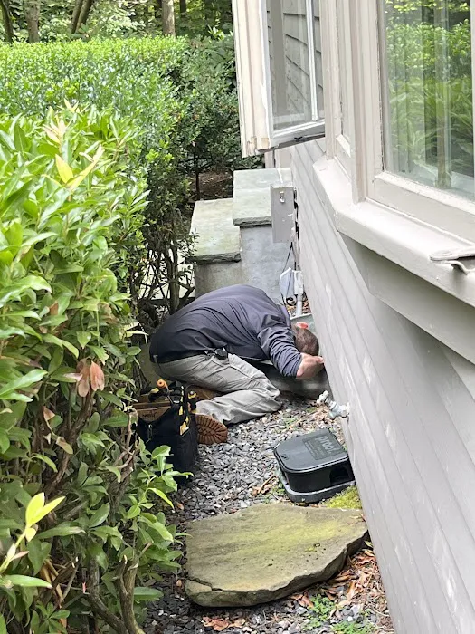 proof. Pest Control Picture 9