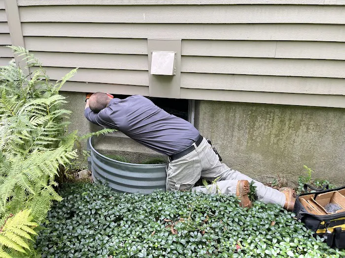 proof. Pest Control Picture 4