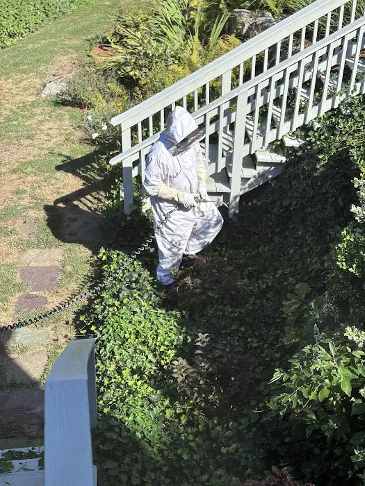 Cape Cod Pest Pros Picture 2