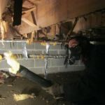 Cape Cod Pest Pros